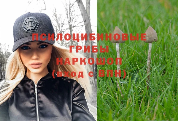 мдма Новокубанск