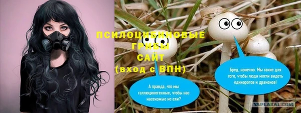 эйфоретик Снежногорск