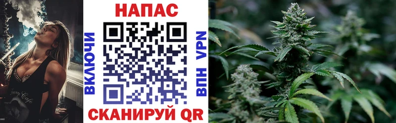 где продают   мориарти как зайти  Марихуана Bruce Banner  Серафимович 